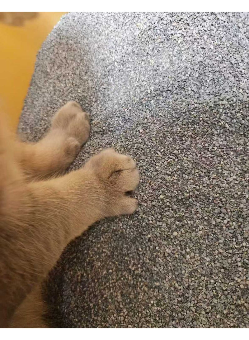 اي بي سي رمل قطط معدني طبيعي برائحة الصابون، 5 لترات | خالٍ من الغبار بنسبة 99.9%، سريع الامتصاص، تكتل جيد، وتحكم فعال في الروائح - Image 3