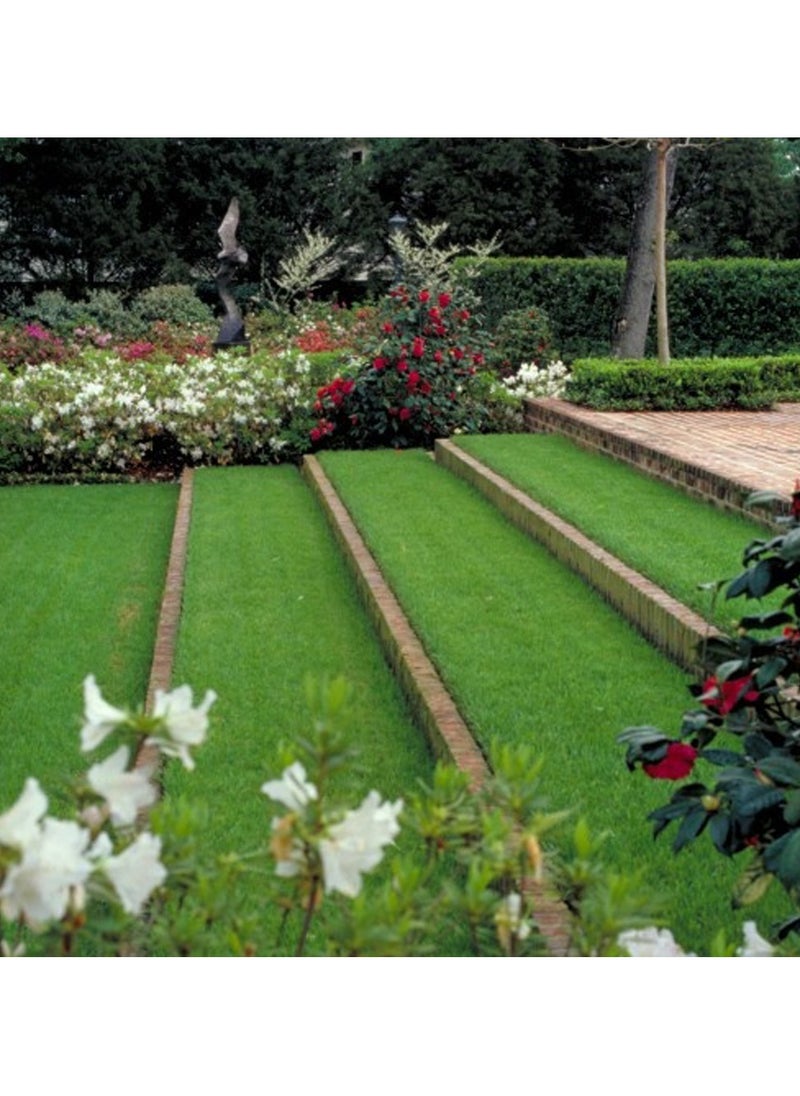 HOME TASTE Premium Artificial Grass Mat 2x1 Meter – Realistic & Durable Lawn Carpet for Home, Patio, Garden & Indoor User  - Image 5