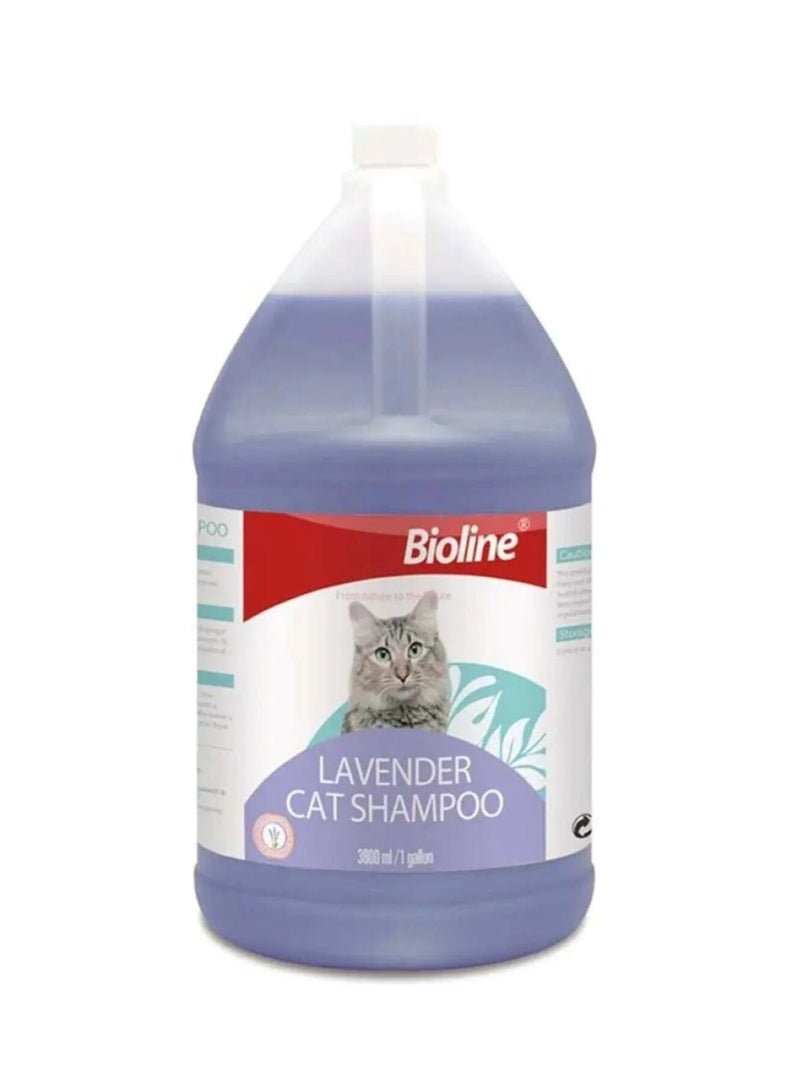 بايولاين شامبو القطط باللافندر – 3.8 لتر