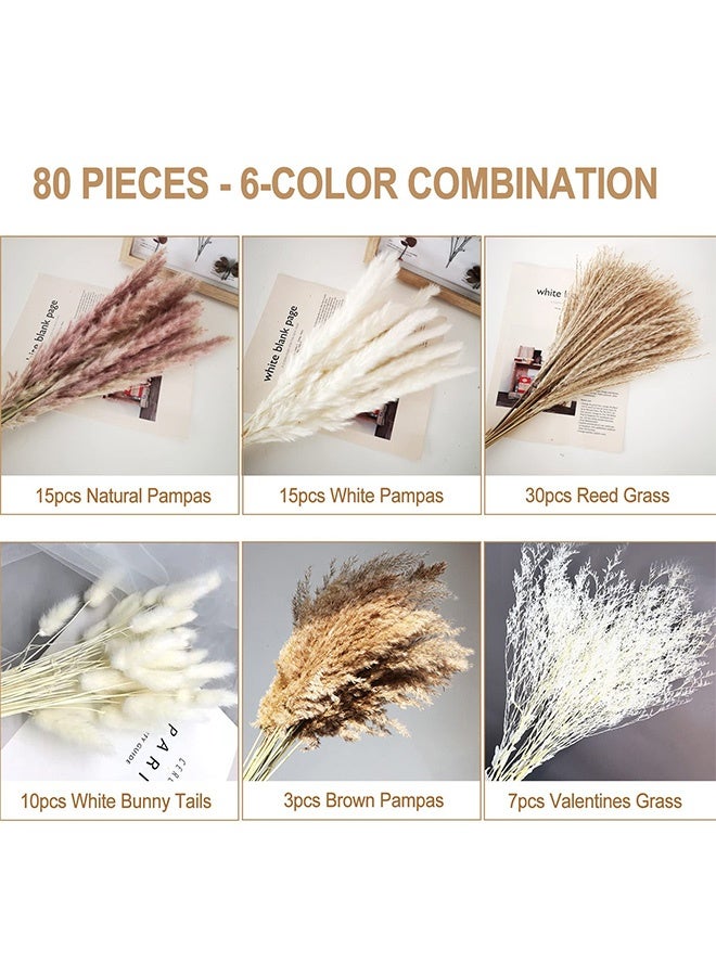 fantasize ديكور عشب البامباس المجفف، 80 قطعة من عشب البامباس تحتوي على زهور الأرانب المجففة، 6 أنواع من النباتات المجففة، باقة عشب البامباس المجفف لزهور الزفاف البوهيمية، ديكور طاولة المنزل، حفلة ريفية (ألوان مختلطة) - Image 2