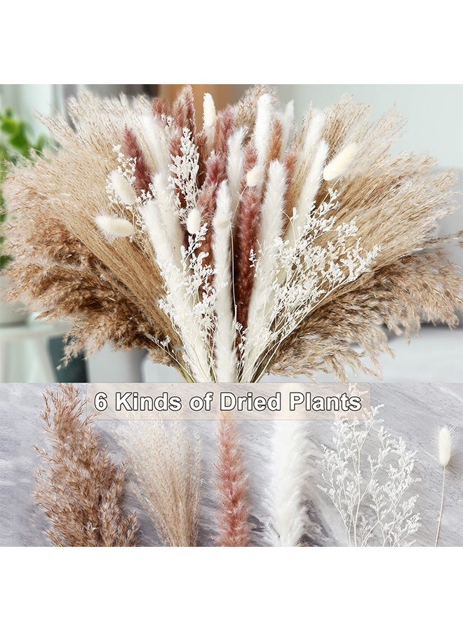 fantasize ديكور عشب البامباس المجفف، 80 قطعة من عشب البامباس تحتوي على زهور الأرانب المجففة، 6 أنواع من النباتات المجففة، باقة عشب البامباس المجفف لزهور الزفاف البوهيمية، ديكور طاولة المنزل، حفلة ريفية (ألوان مختلطة) - Image 4