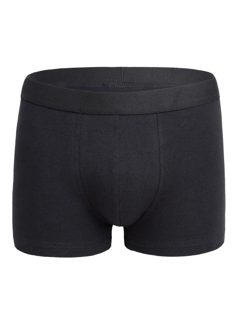 Loquat Men Breathable Underwear Brief 
