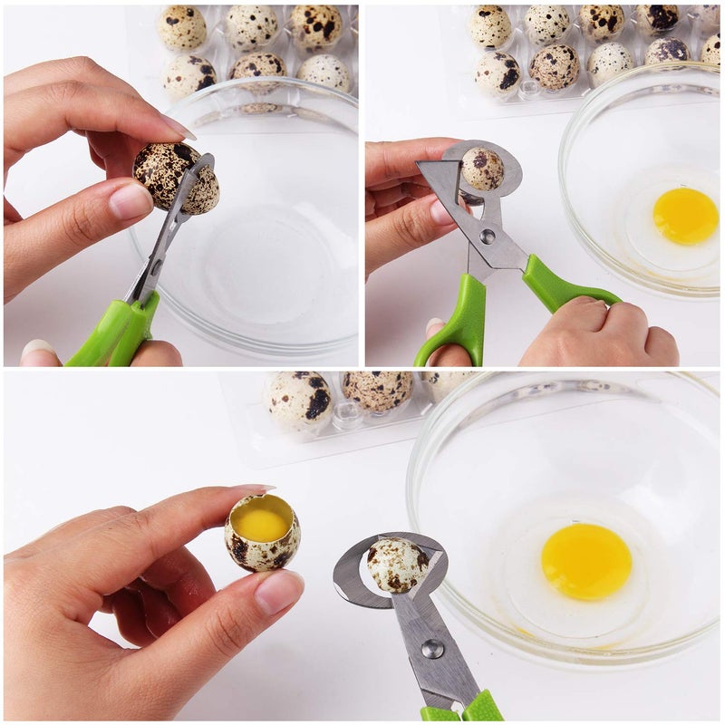 Calary 3Pcs Quail Egg Cutter Scissors Kitchen Egg Shears Tool (Green) - Image 5