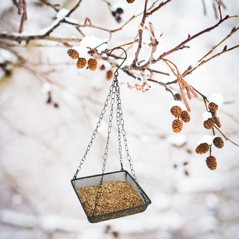 Evelots Hanging Bird Feeder Tray-4 Pack- Sturdy Metal Mesh Seed & Suet Platform-Attract Wild Birds in Backyard-Long 16 Inch Metal Chain-Water Drains Out - Image 5