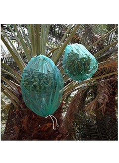 RACO Dates Cover Net Type 65x95 CM with Strong Black Rope, Date Palm Bag Kajur Bag, Suitable for Protecting The Dates on The Tree. PACK OF 2  - Image 3
