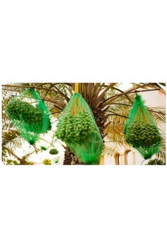 RACO Dates Cover Net Type 65x95 CM with Strong Black Rope, Date Palm Bag Kajur Bag, Suitable for Protecting The Dates on The Tree. PACK OF 2  - Image 4
