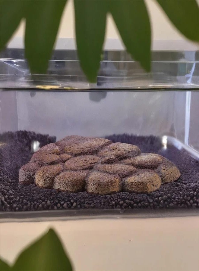 Zerodis Aquarium Tortoise Resin Floating Rock, Reptile Floating Basking Stage Island Fish Accessory Ornament Decoration(L) - Image 4