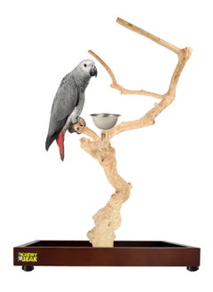 CHEWY BEAK Bird Stand Table Top Natural wooden Parrot Play Stand Indonesian Java wood Tree Perches with Stainless steel feeder medium size  - Image 1