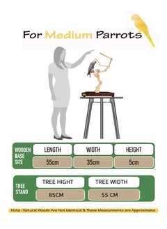 CHEWY BEAK Bird Stand Table Top Natural wooden Parrot Play Stand Indonesian Java wood Tree Perches with Stainless steel feeder medium size  - Image 2