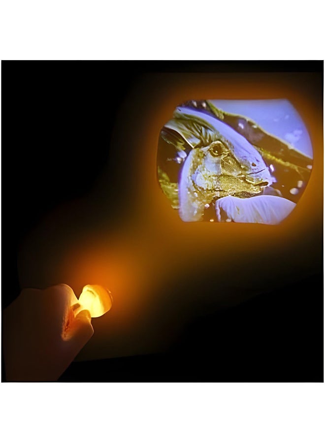 RMS Jurrasc Park Projector Torch – Fun Kids Toy, Interactive Playtime & Gift Item - Image 4