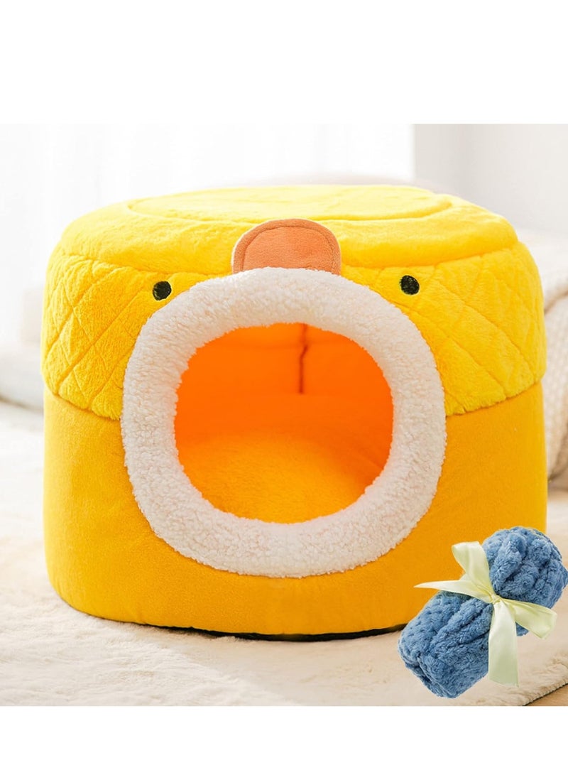 A.M Cute Cat Tent House Cat Tent for Small Cat with Removable Cushion Pet Cat Bed House for Small Medium Pets Sleeping Indoor,50*50*36cm - Image 1