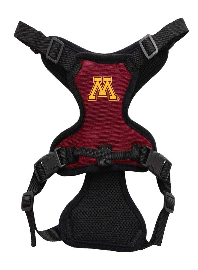 ليتل إيرث حزام صدر للحيوانات الأليفة من ليتل إيرث، بتصميم فريق مينيسوتا غولدن غوفرز التابع للرابطة الوطنية لرياضة الجامعات، بلون الفريق، مقاس صغير جدًا - Image 1