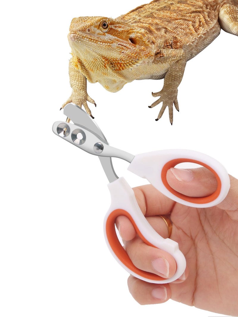 Engorgio Bearded Dragon Nail Clippers - Stainless Steel Toe Clippers for Small Reptiles,Safe Efficient Nail Clippers Grooming Pet Tool Gift for Bearded Dragon Enthusiasts (Orange) - Image 1