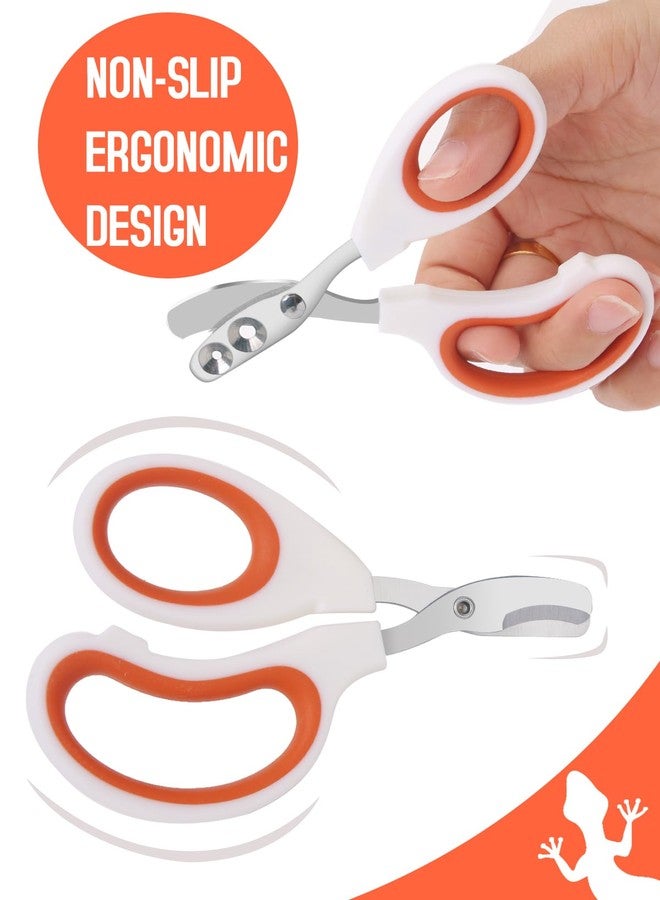 Engorgio Bearded Dragon Nail Clippers - Stainless Steel Toe Clippers for Small Reptiles,Safe Efficient Nail Clippers Grooming Pet Tool Gift for Bearded Dragon Enthusiasts (Orange) - Image 3