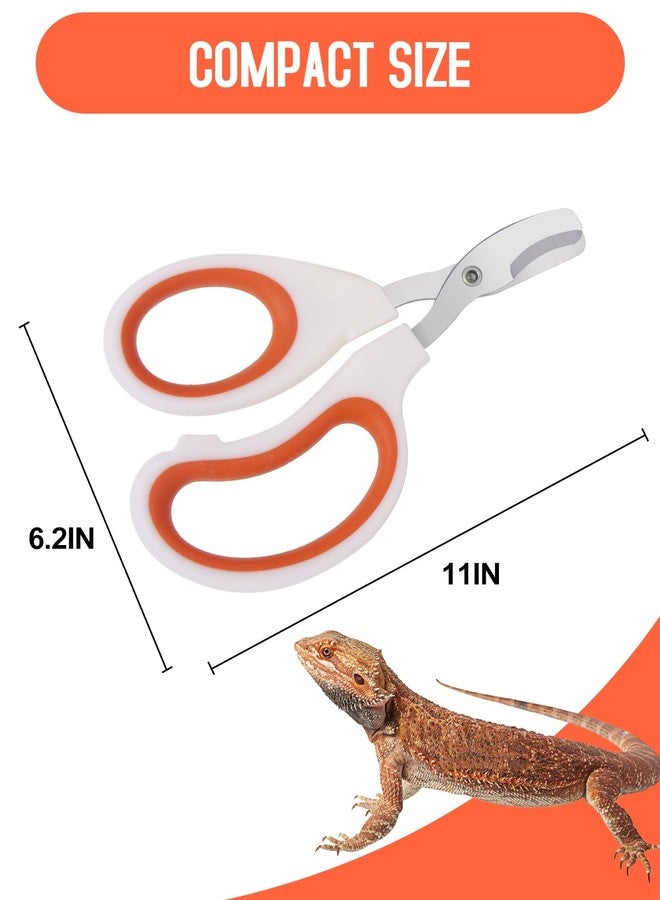 Engorgio Bearded Dragon Nail Clippers - Stainless Steel Toe Clippers for Small Reptiles,Safe Efficient Nail Clippers Grooming Pet Tool Gift for Bearded Dragon Enthusiasts (Orange) - Image 4