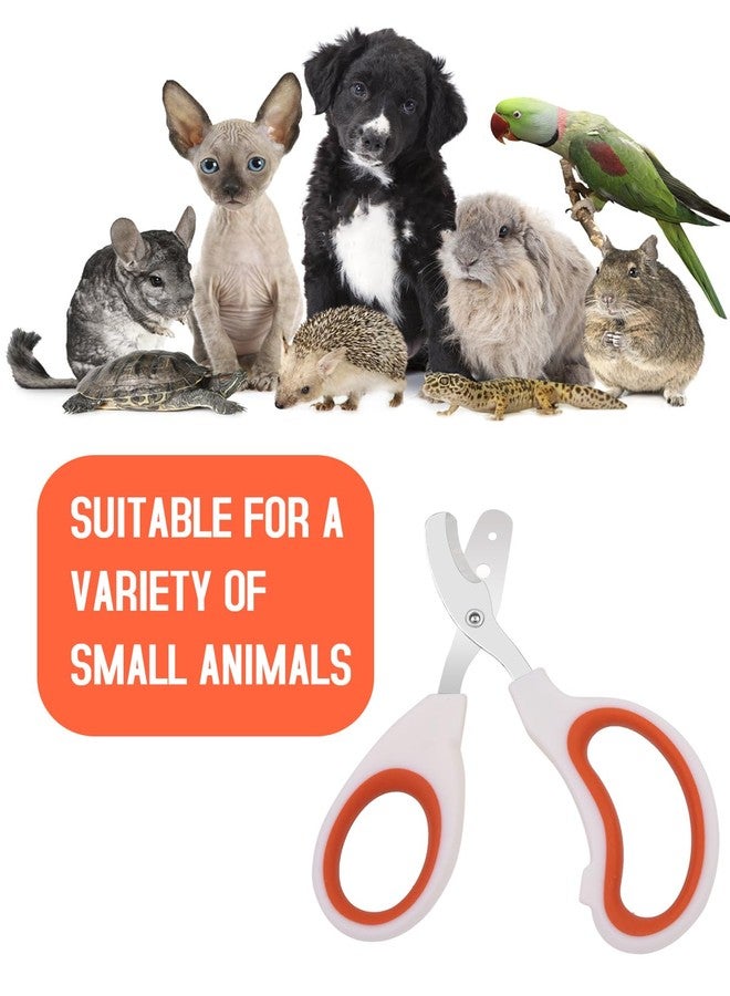 Engorgio Bearded Dragon Nail Clippers - Stainless Steel Toe Clippers for Small Reptiles,Safe Efficient Nail Clippers Grooming Pet Tool Gift for Bearded Dragon Enthusiasts (Orange) - Image 5