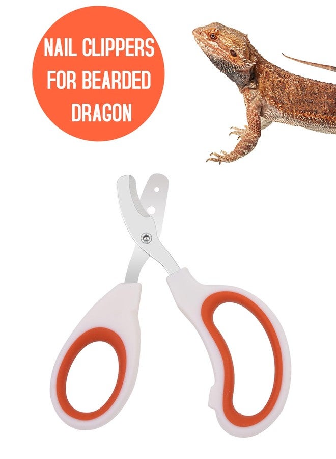 Engorgio Bearded Dragon Nail Clippers - Stainless Steel Toe Clippers for Small Reptiles,Safe Efficient Nail Clippers Grooming Pet Tool Gift for Bearded Dragon Enthusiasts (Orange) - Image 2