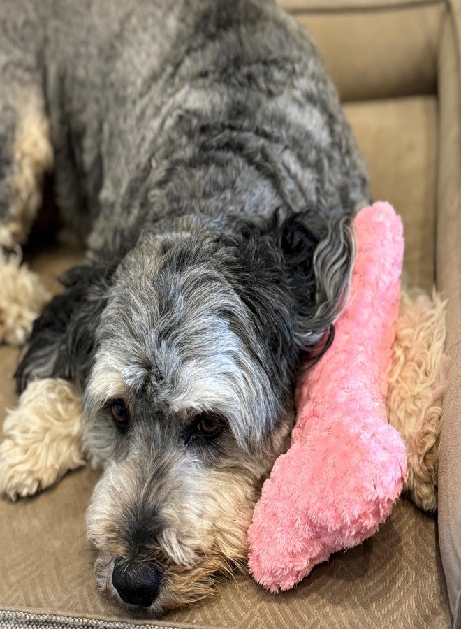 SPOT Soothers Warm Hug Bone - Calming Plush Dog Toy with Lavender Scented Beads, Removable Squeaker, Microwavable Warming Pouch, Separation Anxiety Relief, for Small to Medium Dogs and Puppies, 9in - Image 5