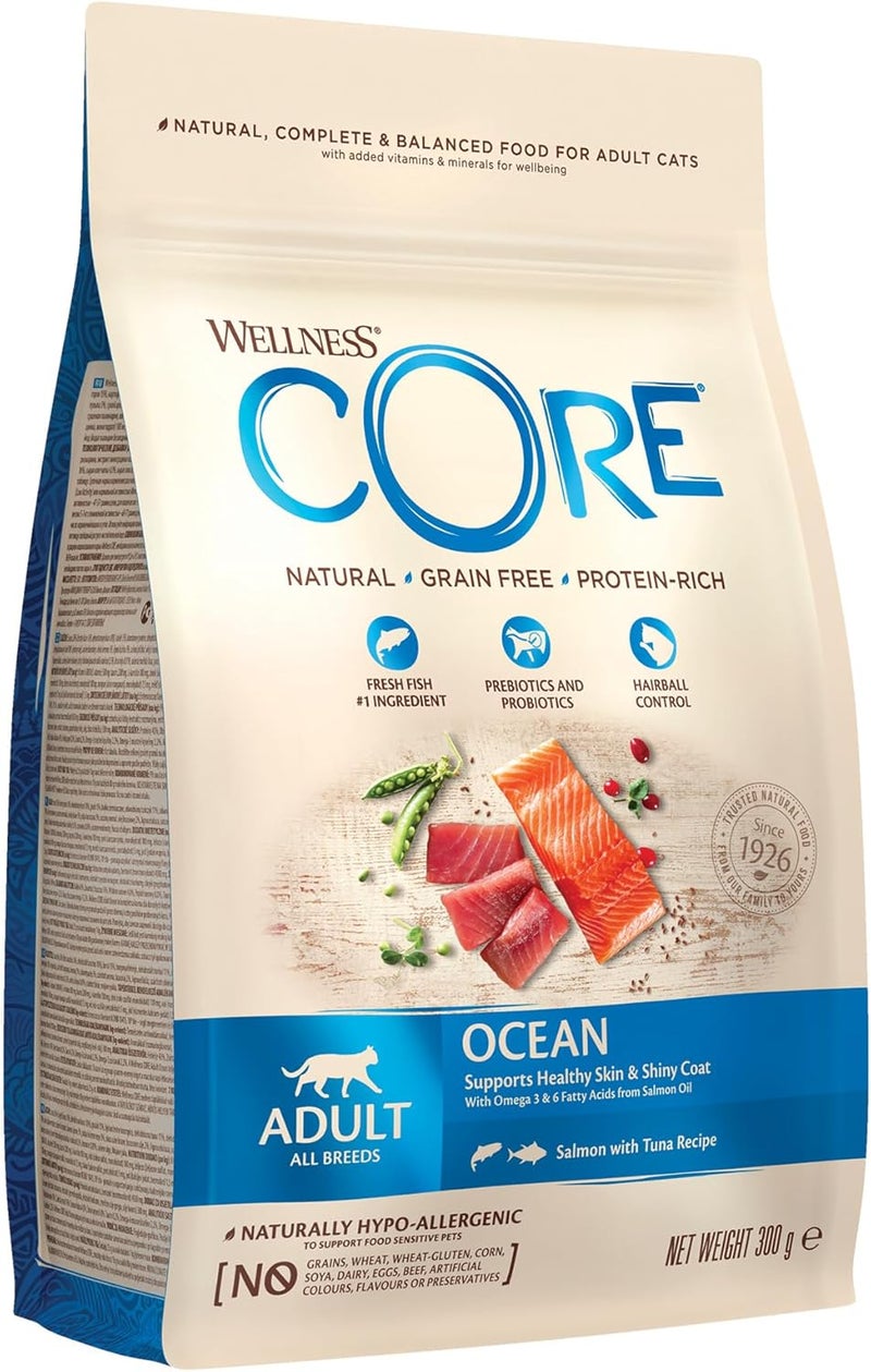 Wellness CORE Cat Dry Food Salmon with Tuna Adult Grain-Free - 300 g - Image 1