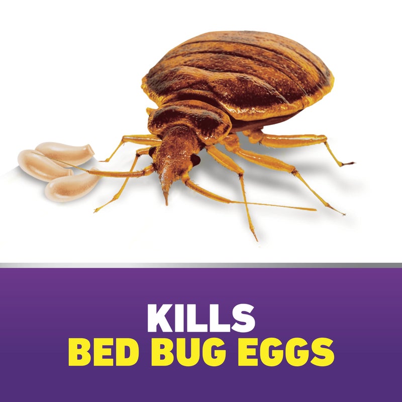 Ortho Home Defense Max Bed Bug Killer - Also Kills Fleas & Brown Dog Ticks, Spot Treatment, 18 oz - Image 3