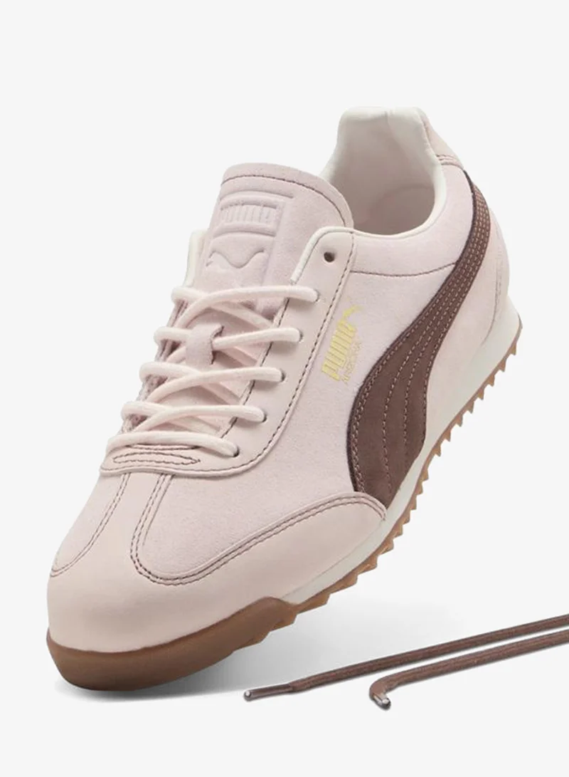 Puma  Arizona Wine Club Sneakers Women for Women | Best Price UAE