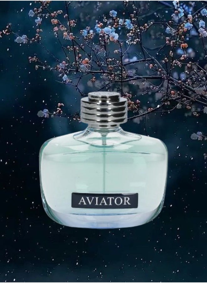 10 Pieces Aviator Perfume 100ML - pzsku/ZB47E37213E717FC2439CZ/45/_/1723822711/418ab680-a50f-4674-8ef3-943534dd42e3