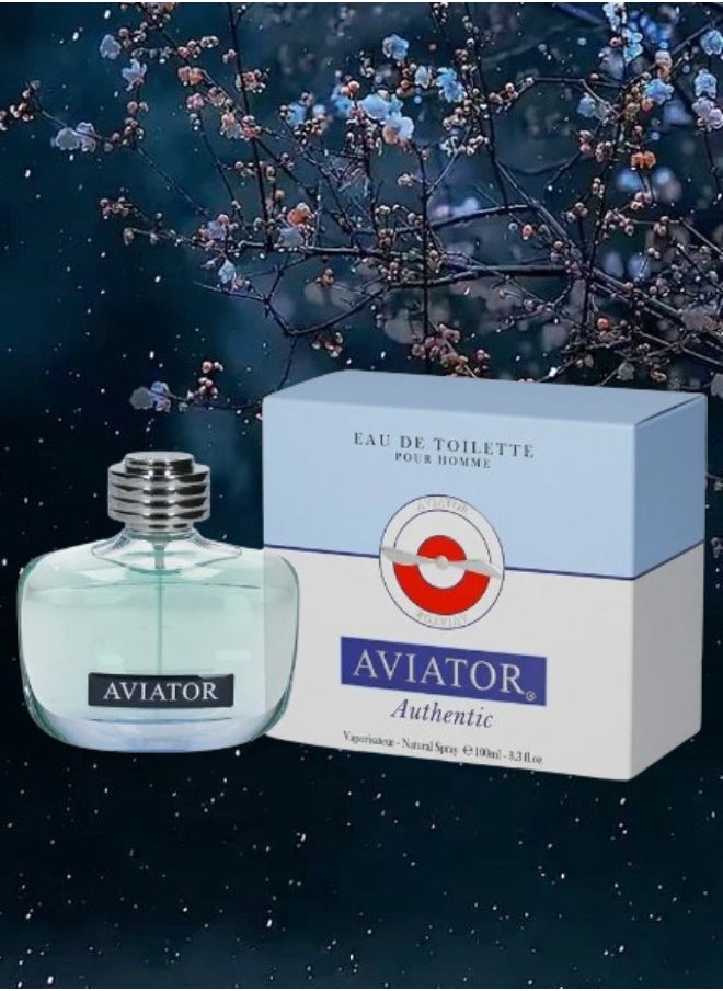 10 Pieces Aviator Perfume 100ML - pzsku/ZB47E37213E717FC2439CZ/45/_/1723822722/53b65572-3cea-4295-ab33-489f51410473