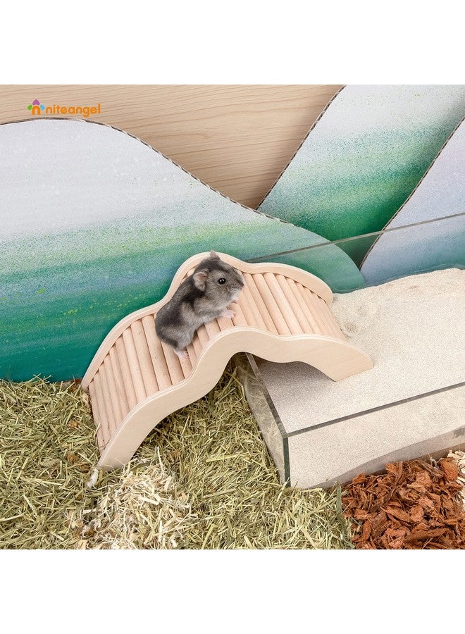 نيتينجيل جسر تسلق سلم من نايت أنجل للهامستر، صندوق حمام رملي أريكليك أو حيوانات أليفة أخرى صغيرة الحجم - Image 5