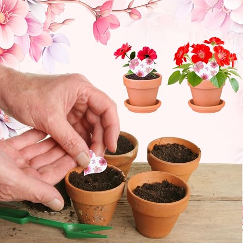BuggyBeds 24 Pink Heart Plantable Seed Paper with Wildflower Seeds – Favor for Bridal Shower, Wedding Gift, Birthday, Garden Keepsake, Let Love Grow - Image 5