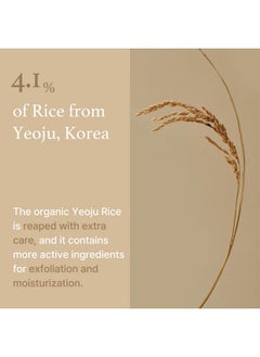 I'M FROM I'm from Rice Mask 3.88 Oz, Gentle Exfoliating Wash Off Facial Mask for Dull, Rough Skin, Pore Clearing, Remove Dead Skin Cells, Uneven Skin Tone, Smooth Skin, Moiustirinzg, Radiant  - Image 5