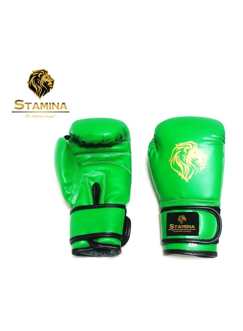 Stamina Unleash Your Power with Precision Synthetic Leather Training Boxing Gloves - Image 2
