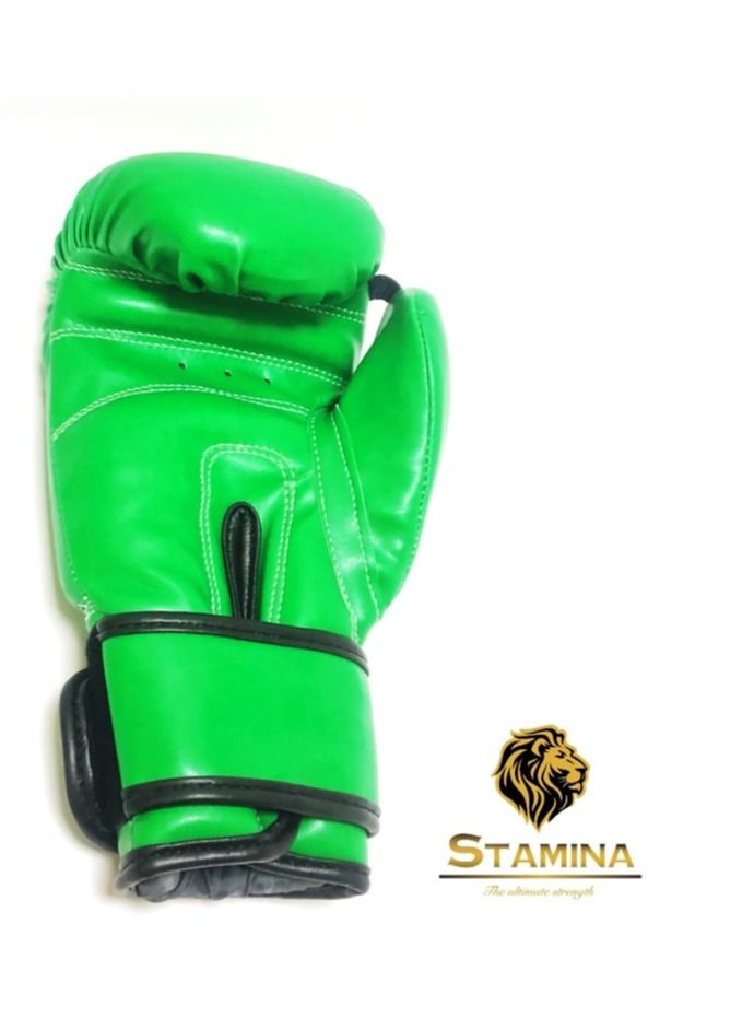 Stamina Unleash Your Power with Precision Synthetic Leather Training Boxing Gloves - Image 4