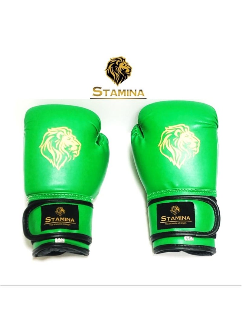 Stamina Unleash Your Power with Precision Synthetic Leather Training Boxing Gloves - Image 3