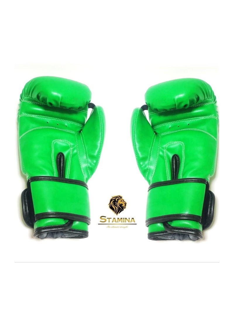 Stamina Unleash Your Power with Precision Synthetic Leather Training Boxing Gloves - Image 5