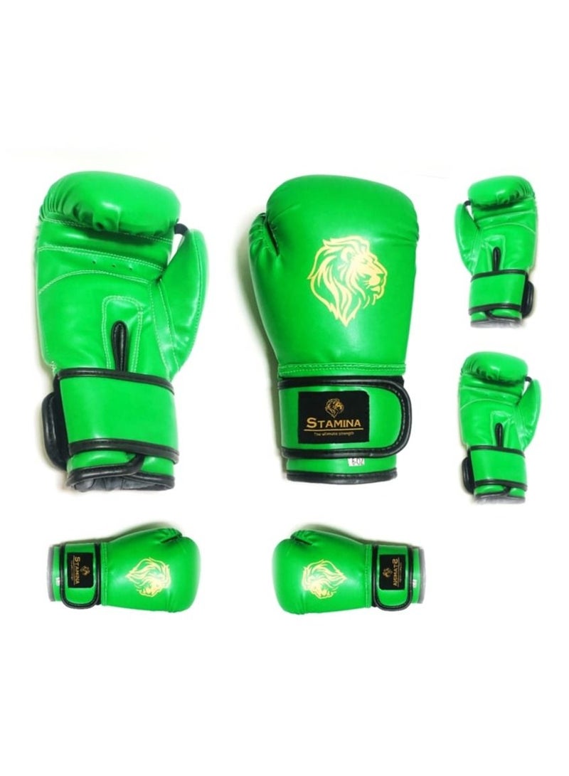 Stamina Unleash Your Power with Precision Synthetic Leather Training Boxing Gloves - Image 1