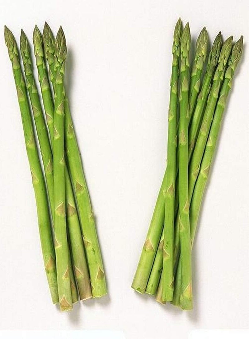 GGOOT 200pcs Pure Asparagus Seeds Autumn Harvest Grow Your Own Asparagus Vegetables for Garden Greenhouse Outdoor Farm Planting - Image 1