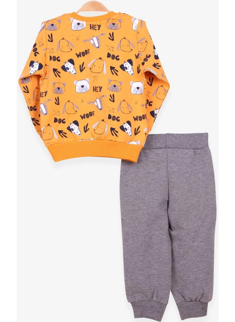 Breeze Boys Tracksuit Suit Print Patterned Mustard Yellow (1-4 Years)