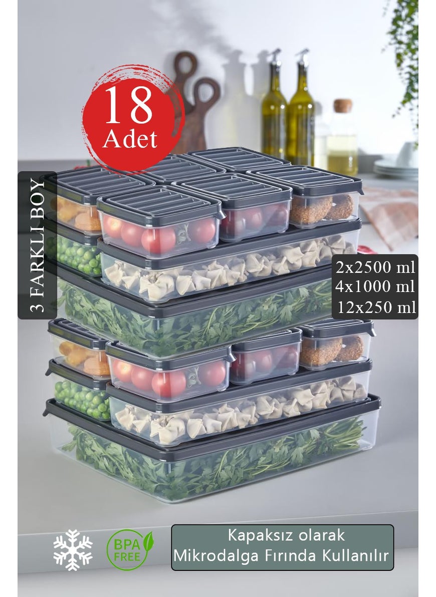 18-Piece Set Refrigerator and Microwave Storage Container - Refrigerator Organizer 2X2500ML, 4X1000ML, 12X250ML - pzsku/ZB485019A83448A00C7E3Z/45/_/1730722872/3ccbcbe0-8936-40ec-9bd0-16fe416a6745