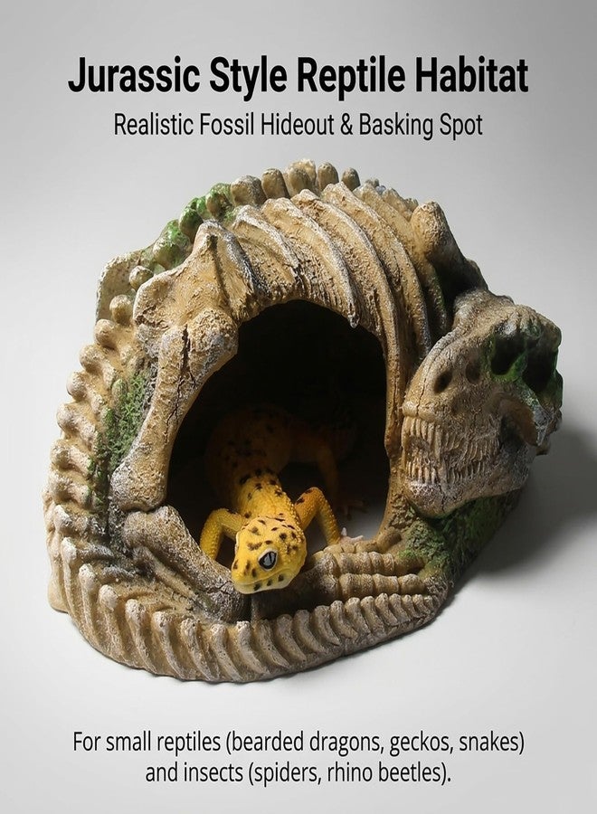 relaqcc Reptile Hide Skull Animal Skeletons Decorations, Aquarium Hideaway Cave Fish Tank Decorations for Amphibians, Betta Fish, Shrimp, Lizards, Leopard Gecko - Image 5