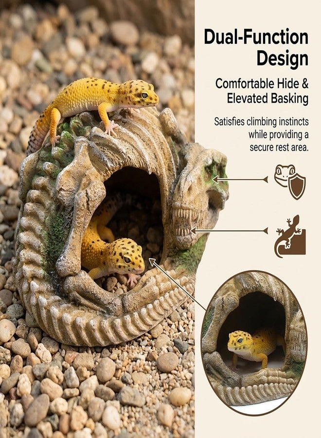 relaqcc Reptile Hide Skull Animal Skeletons Decorations, Aquarium Hideaway Cave Fish Tank Decorations for Amphibians, Betta Fish, Shrimp, Lizards, Leopard Gecko - Image 3