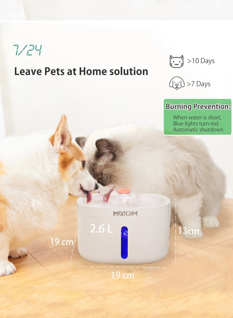 موزع مياه للحيوانات الأليفة، نافورة للحيوانات الأليفة، نافورة للحيوانات الأليفة، قطط، مشروب الكلاب الصغيرة، آلة سقي القطط الأوتوماتيكية لإمداد الحيوانات الأليفة بالمياه 2.6 لتر، عجلة دوارة بيضاء - Image 4