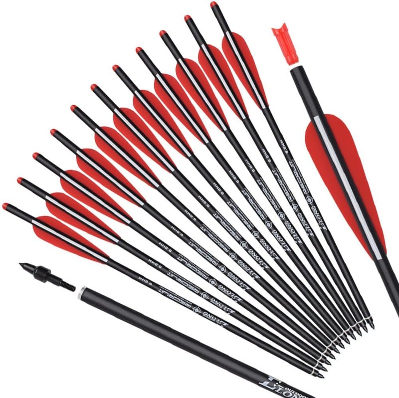 TY Archery Carbon Crossbow Bolts 16 18 20 Inch Hunting Archery Arrows with 4" Vanes Replaced Arrowhead Tip (Pack of 12) - Image 3