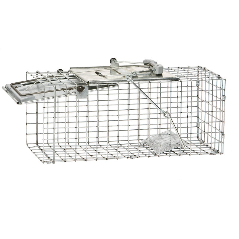 Havahart 1083 Catch and Release Small 1Door Easy Set Humane Live Animal Trap for Squirrels Rabbits Skunks and Other Small Animals