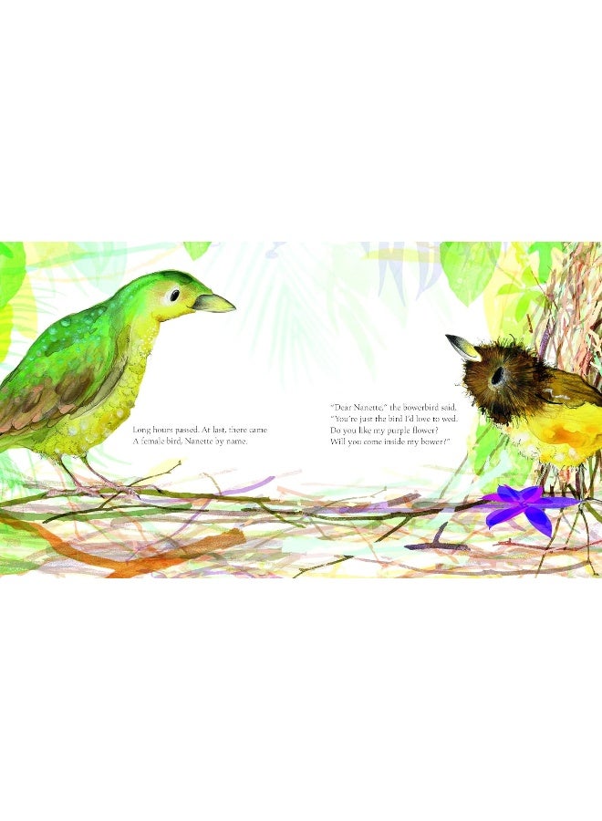 The Bowerbird - Image 5