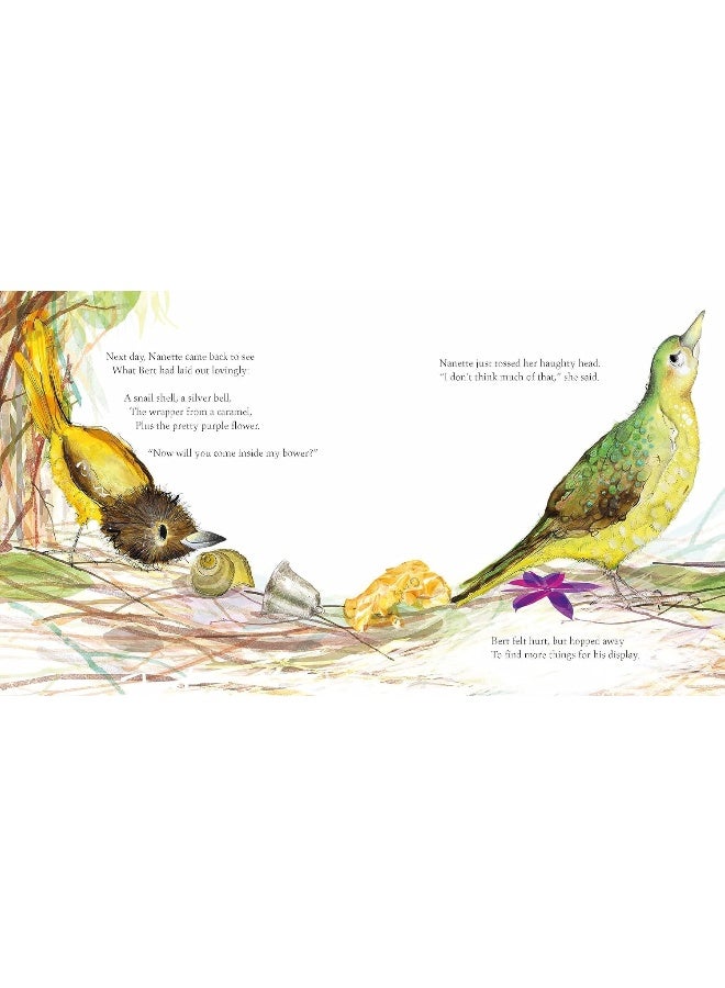 The Bowerbird - Image 3