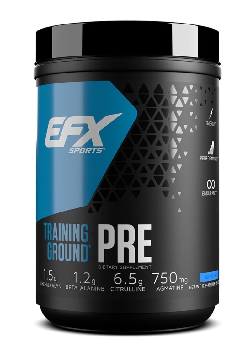 EFX SPORTS - EFX SPORTS Training Ground Pre, Increase Focus, Endurance and Energy, Blueberry Flavor, 20 Servings - Image 1