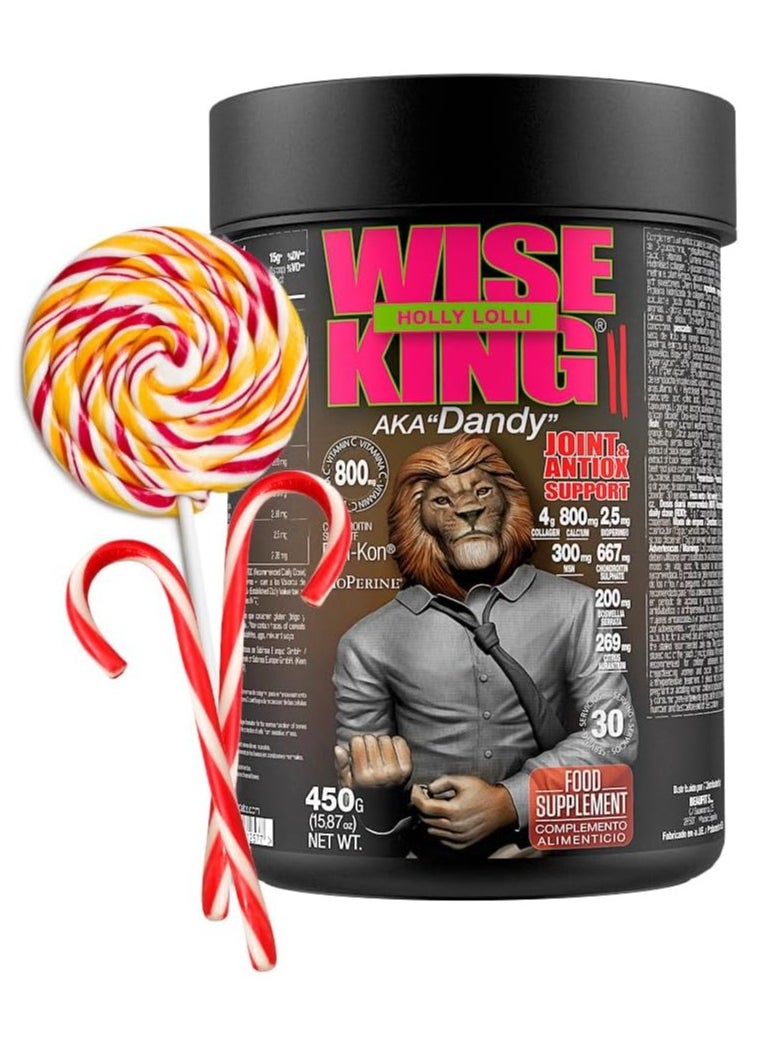 zoomad labs Zoomad Labs, Wise King, Joint & Antiox Support, 450g, Holly Lolli, 30 Servings  - Image 1