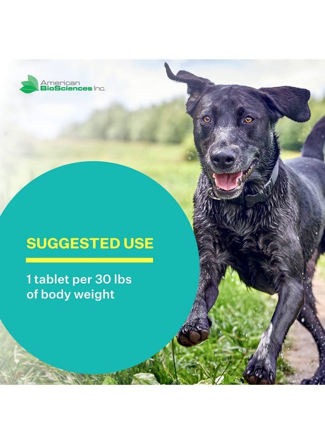 American BioSciences American BioSciences DGP All-Natural Joint Supplement for Dog Hip & Joint Support with Turmeric, Boswellia Extract, Feverfew - Quick Mobility Support - 60 Chew Tabs for Pets - Image 4