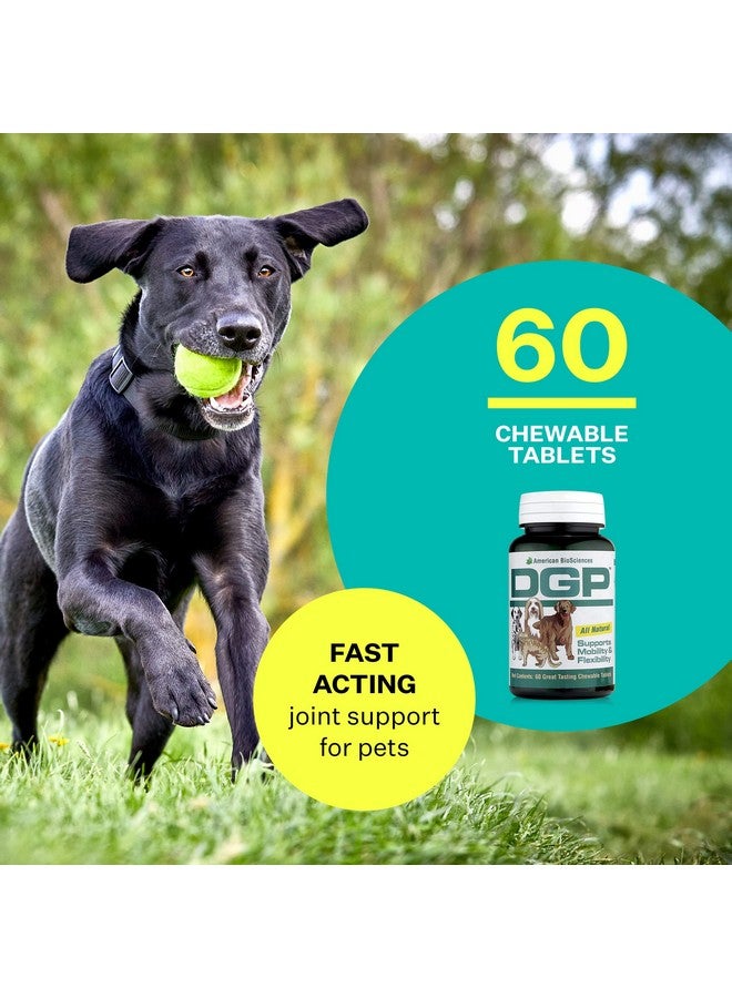 American BioSciences American BioSciences DGP All-Natural Joint Supplement for Dog Hip & Joint Support with Turmeric, Boswellia Extract, Feverfew - Quick Mobility Support - 60 Chew Tabs for Pets - Image 3