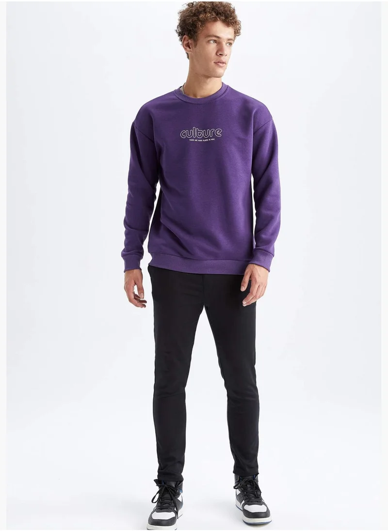 DeFacto Man Crew Neck Knitted Sweatshirt
